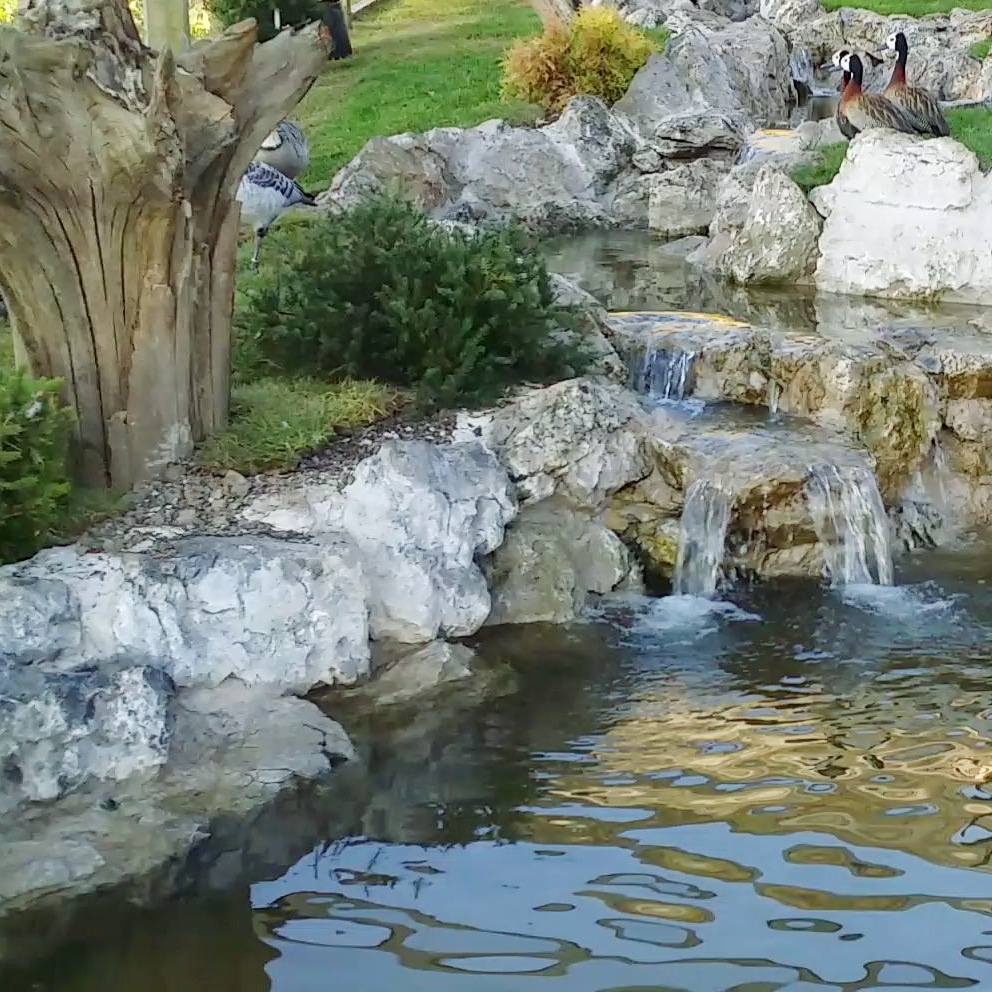 Bespoke luxury landscape installation Dubai
