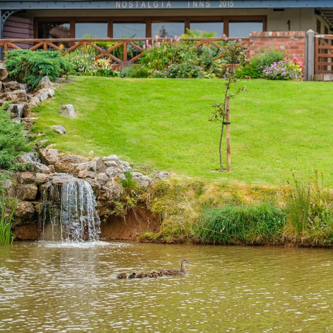 Custom waterfall and grotto design Cheshire